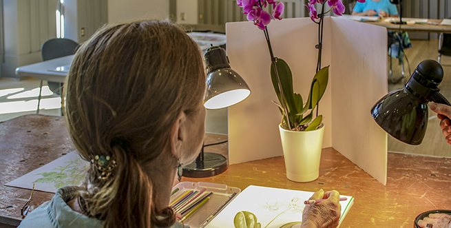 Introduction to Drawing in Colored Pencil