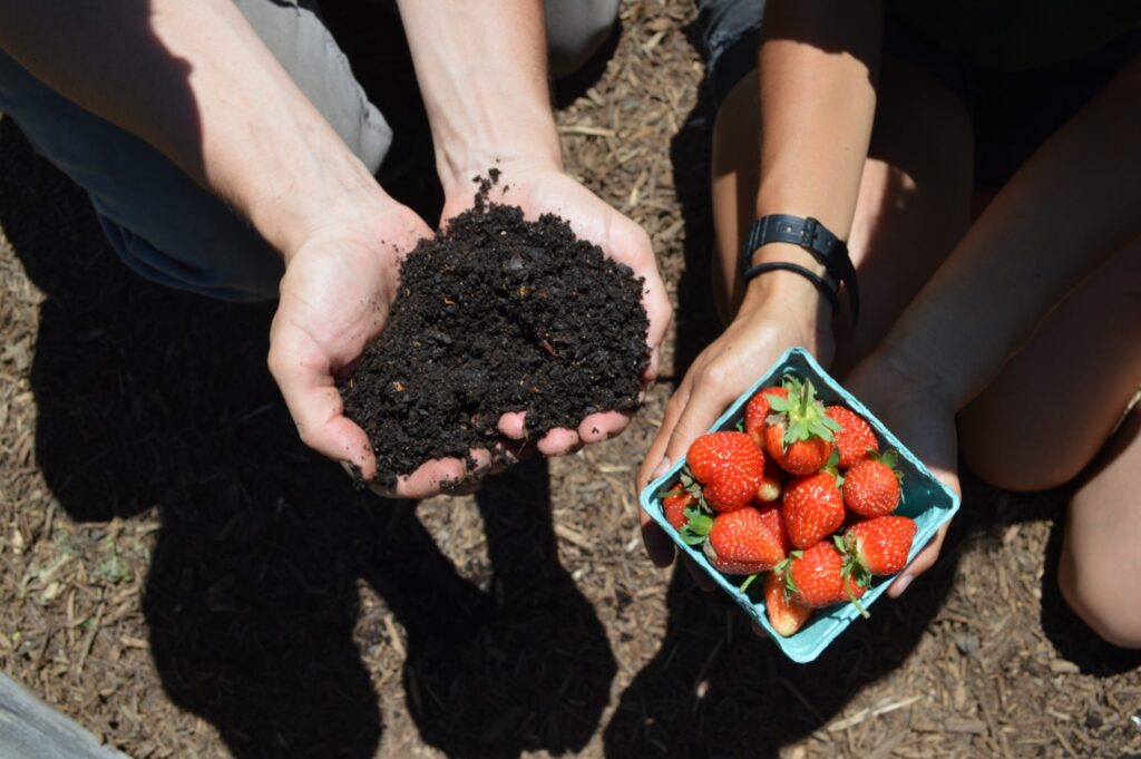 Farm Workshop: Bed Prep & Soil Health