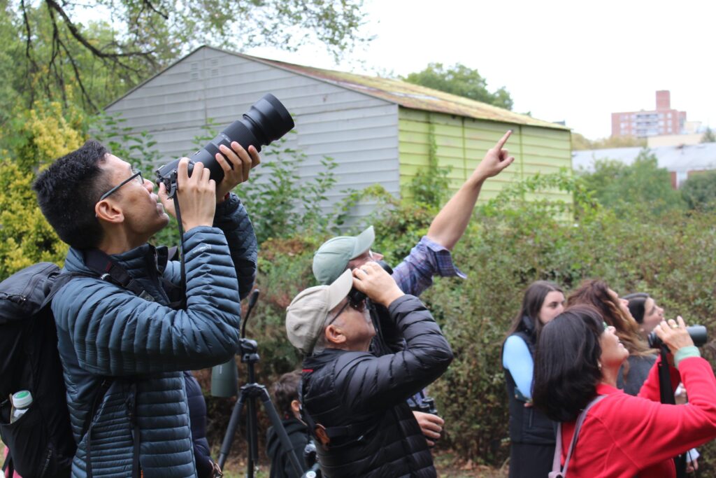 Spring Bird Walk with NYC Bird Alliance