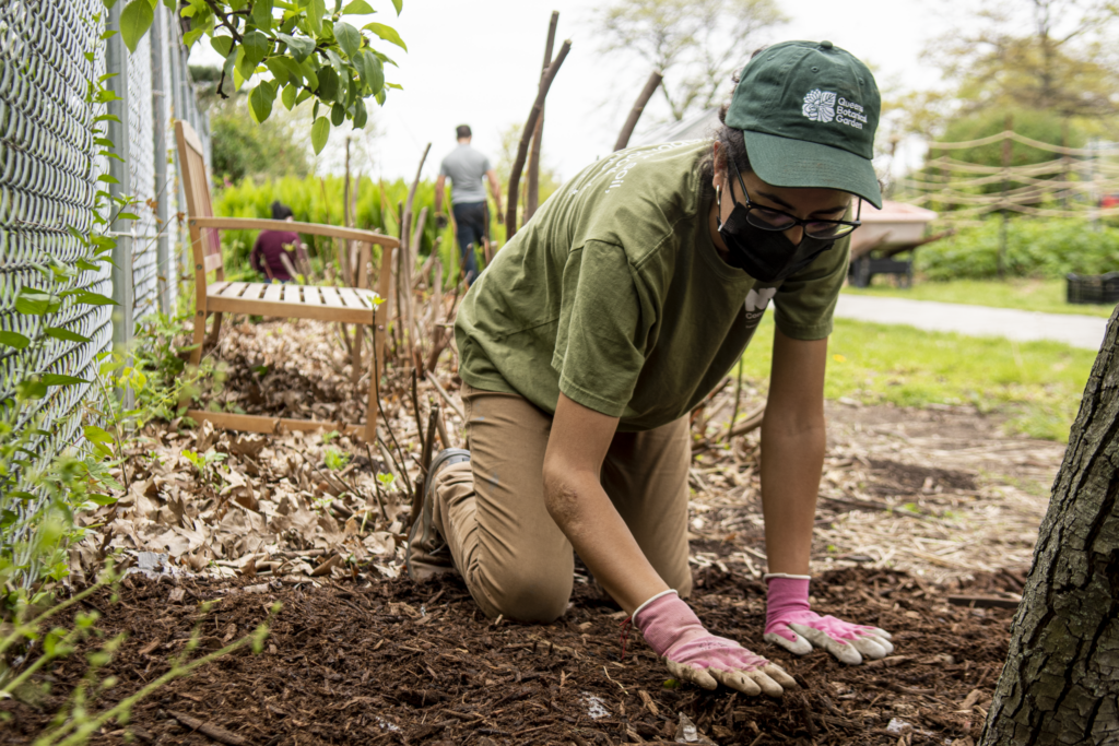 Compost Beautification Community Volunteer Days