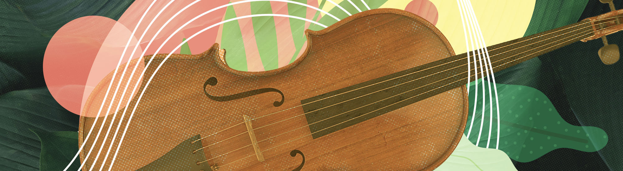 Strings in the Garden, Gainesville: Supporting Members & Above