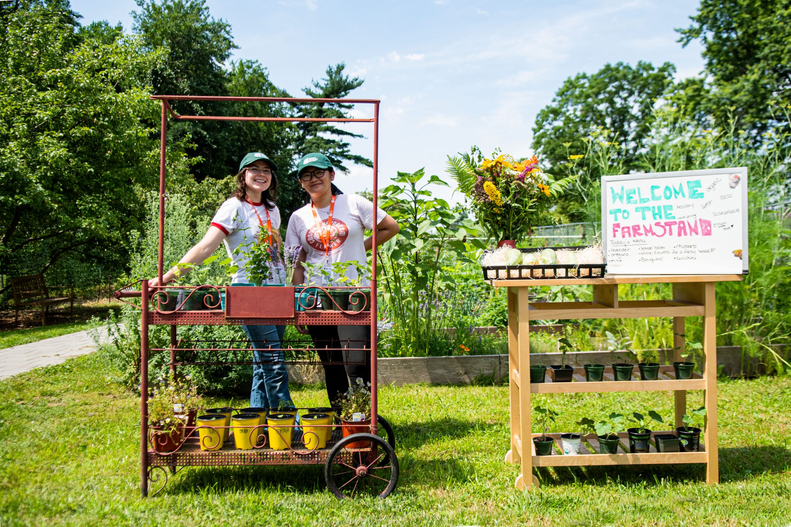 Open Farm Hours