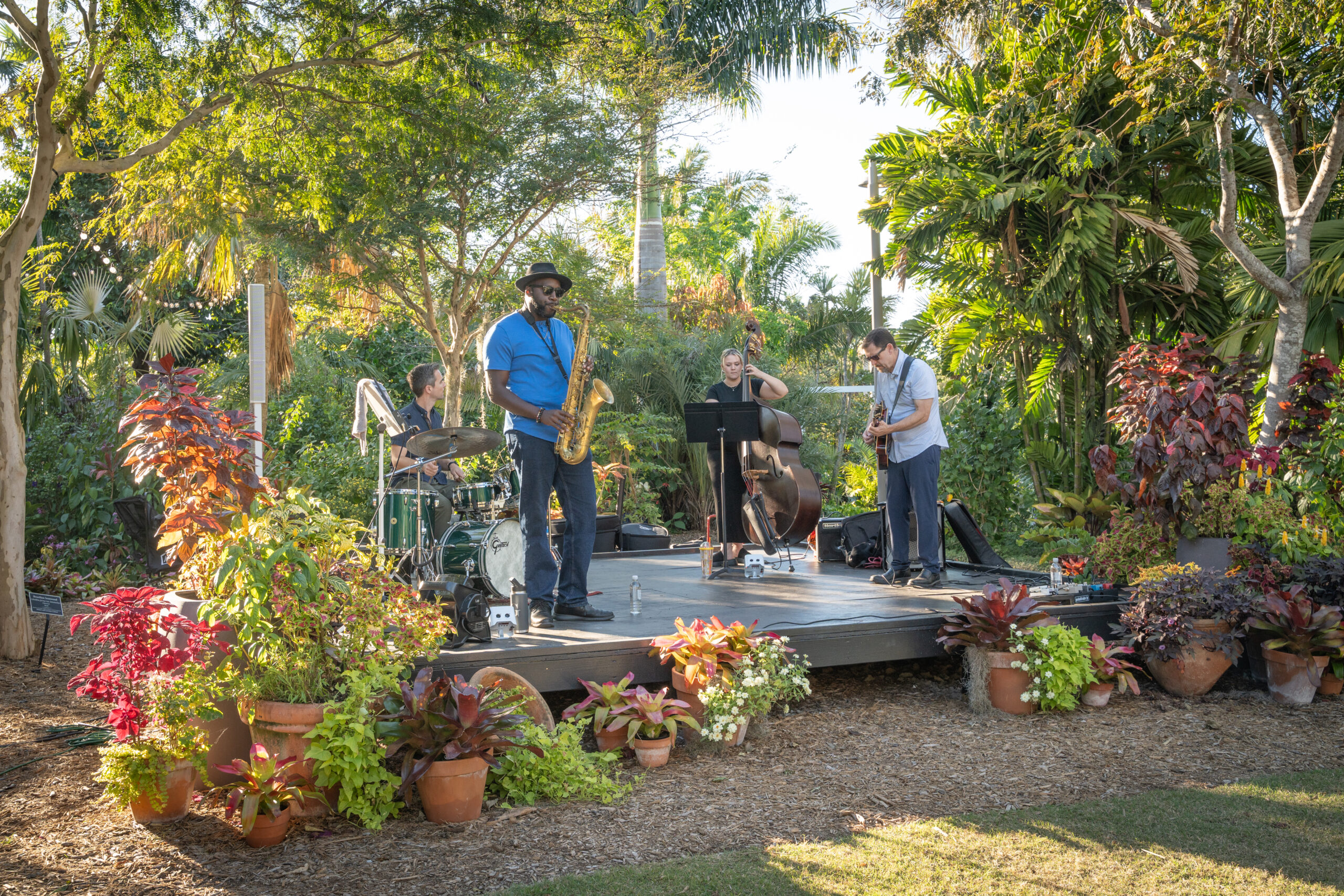 Music in the Garden