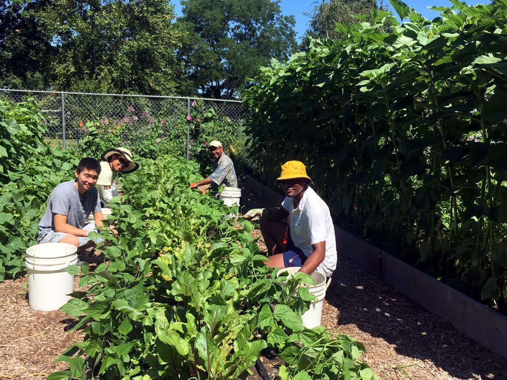 Farm Community Volunteer Days