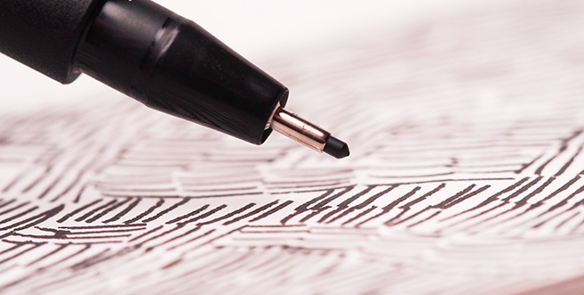 Fine Line Pen for Botanical Illustration