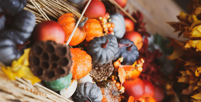 Drawing the Fall Harvest